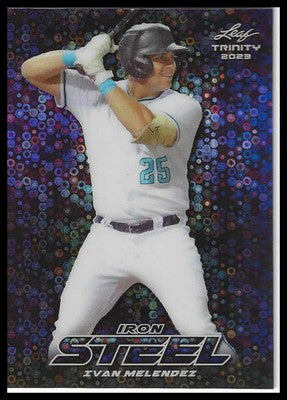 2023 Leaf Trinity Steel Iron Donut Circles Purple #S-36 Ivan Rodriguez #6/8 SSP