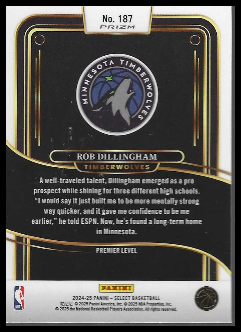 2024-25 Panini Select #187 Rob Dillingham Blue Cracked Ice Prizm